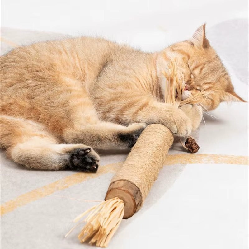 PurrfectBite™ Zobotrebec s Silvervine