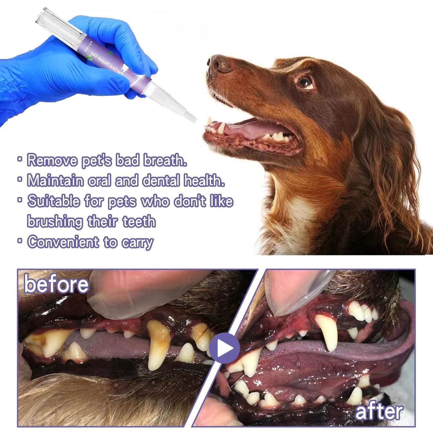 PawLixir™ Oral Repair Gel za živali